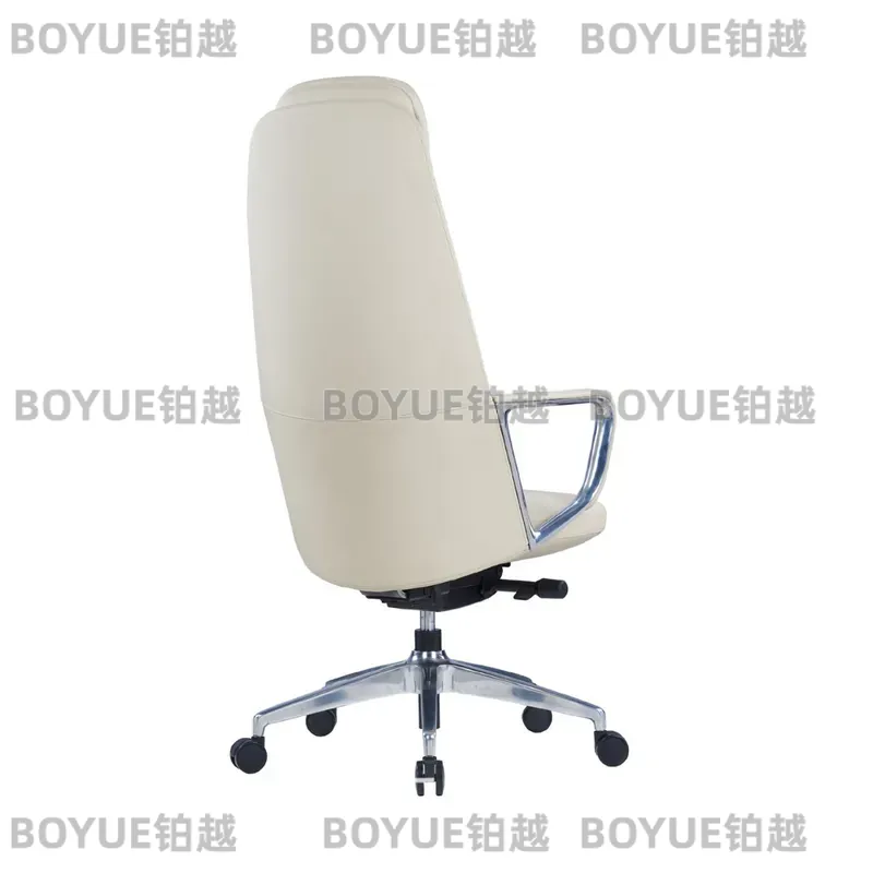 Computer Case - Silla de Oficina Ejecutiva Ergonómica, Respaldo